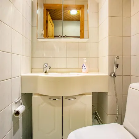 Lomariekko 6 A 4 Pikkuriekko By Interhome